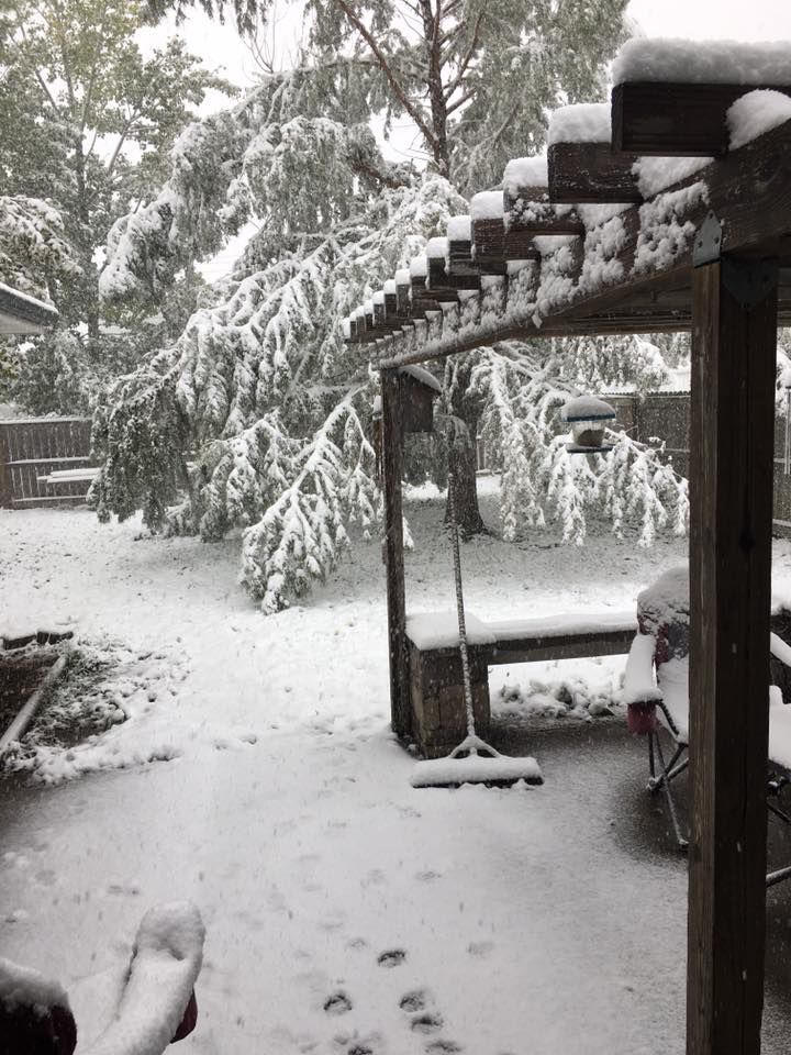 Snow, 10/14